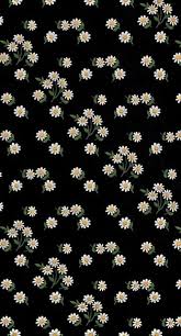 54 Super Ideas Wallpaper Whatsapp Tumblr Preto In 2020 Flower Background Iphone Daisy Wallpaper Iphone Background