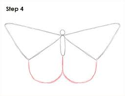 For the beginners also, drawing butterfly sketch is good for their practice. How To Draw A Butterfly