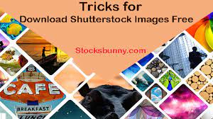 Download the perfect shutterstock pictures. Tricks For Download Free Shutterstock Images