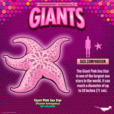 Image result for Dolichos junodii