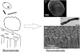 Bio‐derived nanomaterials for energy storage and conversion