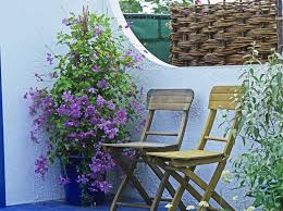 We did not find results for: How To Grow Clematis Van Meuwen