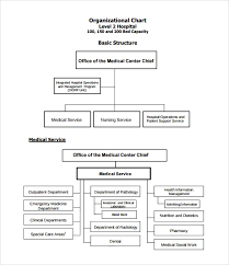 Sample Hospital Organizational Chart 9 Documents In Pdf