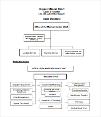 sample hospital organizational chart 9 documents in pdf