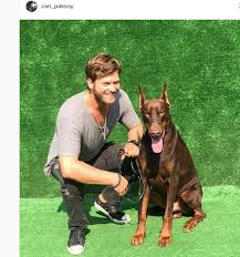 Kivanc Kivanc Tatlitug Turkish Actors Kurt Seyit And Sura