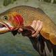 Montana Fish Wildlife and Parks Guest Speaker