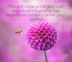 07 november 2019 / zill nine. Alangkah Mulianya Hati Yang Sedih Tetapi Dapat Menyanyikan Lagu Kegembiraan Bersama Hati Hati Yang Gembira Flowers Photography Planting Flowers Dahlia