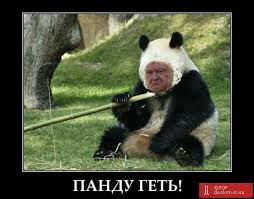 ГПУ просить Нідерланди взяти у Саакашвілі зразки голосу, - Єнін - Цензор.НЕТ 4311
