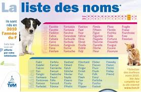 On a souvent tendance à croire que la stérilisation d'une femelle ou la castration d'un mâle ne doit être effectuée qu'une fois que le chien ou la chienne a eu au moins une fois des. Nom Vet And The City