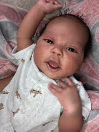 What are good pet sitting recommendations in Fincastle?