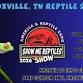Show me reptiles Show