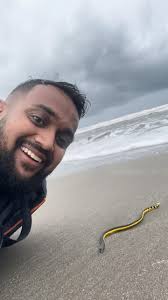 New Zealanders can find it deeply disconcerting to discover we have a  native snake., Much of that unease comes from our unfamiliarity with  snakes. We don’t have a framework for how to interact with ...