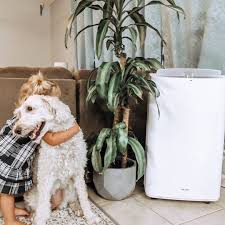 A fan has to get cool air from somewhere and blow hot air somewhere. 17 Best Ways To Cool A Room Fast And Keep It That Way Newair