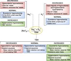 The Challenge Of Hyponatremia American Society Of Nephrology