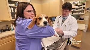 128 likes · 22 talking about this · 14 were here. Springmill Pet Wellness Clinic Veterinarian Westfield In