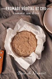 Fromage Vegetal Facon Brie Sans Noix De Cajou Fromage Vegetal Fromage Recette Fromage