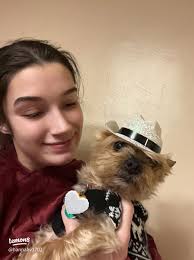 Celebrate New Year's 2024 with Harley!