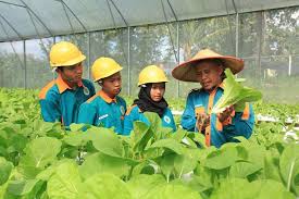 Maybe you would like to learn more about one of these? Ycab Mesin Dan Kurikulum Smk Sudah Kuno