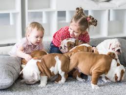 Search a wide range of info from across the web with theresultsengine.com Sears Carpet Cleaning Air Duct Cleaning Home Facebook