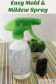 This Natural Mold And Mildew Remover Is So Easy To Whip Up This Recipe For Homemade Mildew Removal Spray O Mold And Mildew Remover Mildew Remover Mold Remover