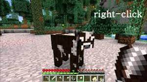 By shearing sheep you do not have to kill them to get wool and you will get 1 to 3 wool blocks per shearing. Shears Official Minecraft Wiki