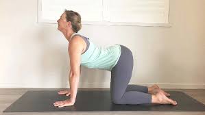 People meditating in the office funny yoga poses fitness yoga funny man in suit doing yoga yoga at home men funny yoga pose doodle yoga vector meditation funny group office exercise fat guy yoga. 10 Simple Yoga Poses That Help Everyone At Any Age