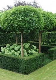 Beautiful Beaux Jardins Amenagement Jardin Jardins