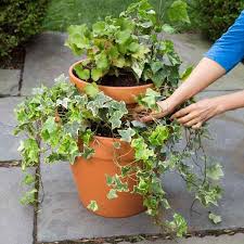 Din en 10255 threaded tube. 10 Uses For Bricks Tiered Planter Container Gardening Uses For Bricks