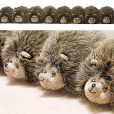 Résultat de recherche d'images pour "row of hedgehogs"