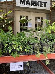 Mepkin Abbey Garden Newsletter November 2021 Monthly Maintenance