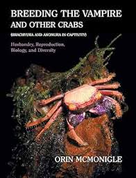 Image result for Cribbia brachyceras