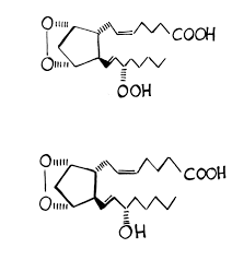 Check spelling or type a new query. Https Freidok Uni Freiburg De Dnb Download 2805