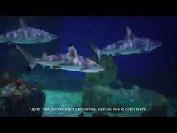 Loveland Living Planet Aquarium Invites All To Come Explore Discover And Learn About Earth S Diverse Ecosystems In 2020 Travel Salt Lake City Places To Go Ecosystems
