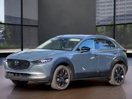 Image result for Polymetal Gray 2024 MX-30