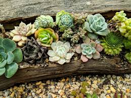Table of contents hide 8) pretty painted wood planter boxes 11) tiered wood flower boxes another pallet planter design that i cannot miss putting in my home is the wood window flower. 17 Gorgeously Rustic Log Planters And How To Make Them Diy Crafts