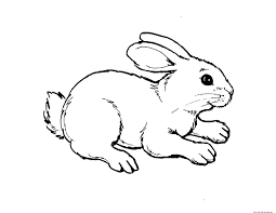 We did not find results for: Free Animal Coloring Pages For Kids Novocom Top