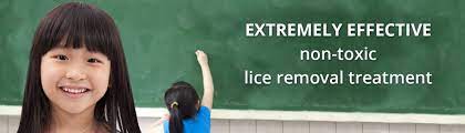Head Lice Removal Treatment San Diego Fast Safe And Effective Lca