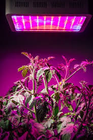 Currently, the best led grow light is the california lightworks solarsystem. The Ultimate Guide To The Best Led Grow Lights For Indoor Plants Best Led Grow Lights Info