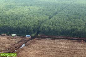 Peat soils may prevent the fluxes of trace metals to streams more effectively than mineral soils (lidman et al peaty loams are suitable for growing root crops and cereals. 139 Scientists Shoot Down Misleading Reports From Malaysia Peat Congress