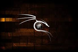 Mobile abyss technology kali linux. Kali Linux Wallpaper Download Free Beautiful Backgrounds For Desktop Mobile Laptop In Any Resolution Desktop Android Iphone Ipad 1920x1080 2560x1440 320x480 1920x1200 Etc Wallpapertag