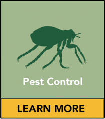 Locally owned and operated in richmond heights, ohio, we offer professional, personalized service to fit all your pest control needs. Ecoadvantage Pest Control Exterminators Fayetteville And Hope Mills