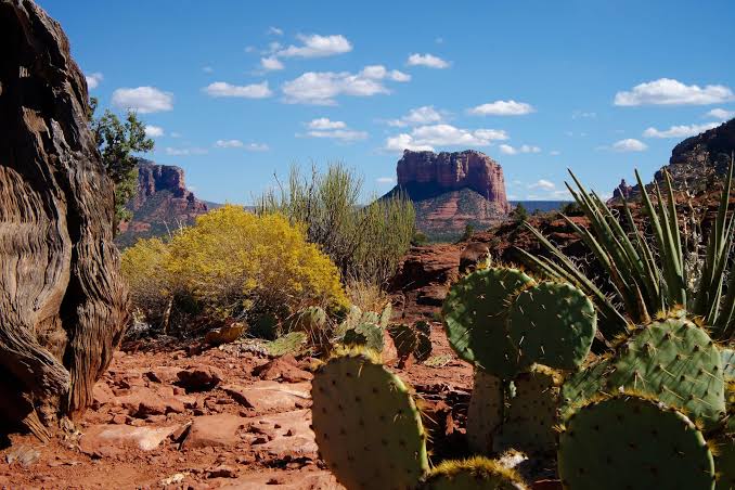 Arizona: The heart of the Southwest and spiritual Sedona - Lifestylehotels™