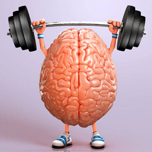Keeping the brain in mind – or how to grow your own brain - MindfulnessNow