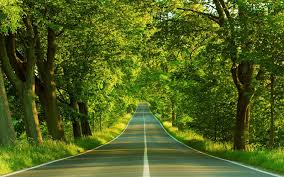 Explore our selection of memorable designs or create your own. Hd Green Landscape Wallpapers Top Free Hd Green Landscape Backgrounds Wallpaperaccess