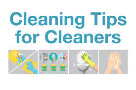 Nea Environmental Cleaning Guidelines