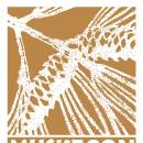 Board Meeting — Muskegon Conservation District