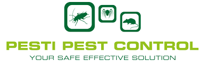 Professional treatment to destroy ant colonies in your home. Pesti Pest Control Perth Pest Control Services Termite Treatment Perth