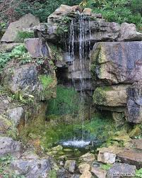 Jardindesplantes Cascade Rocher Caen Scabycam Plante Jardin Rochers
