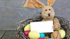 Gratis para usos comerciales ✓ no es necesario reconocimiento ✓. Formas Divertidas De Probar Que El Conejo De Pascua Existe Vix