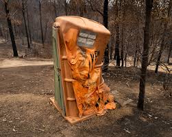 How too start your chainsaw? Exhibition Flood Fire Artist News Exhibitions Photography Now Com